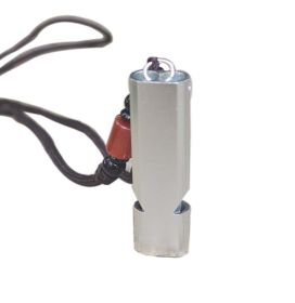 2 PCS Emergency Whistles with Lanyard Double Tubes Outdoor Whistle for Camping Hiking; Silver